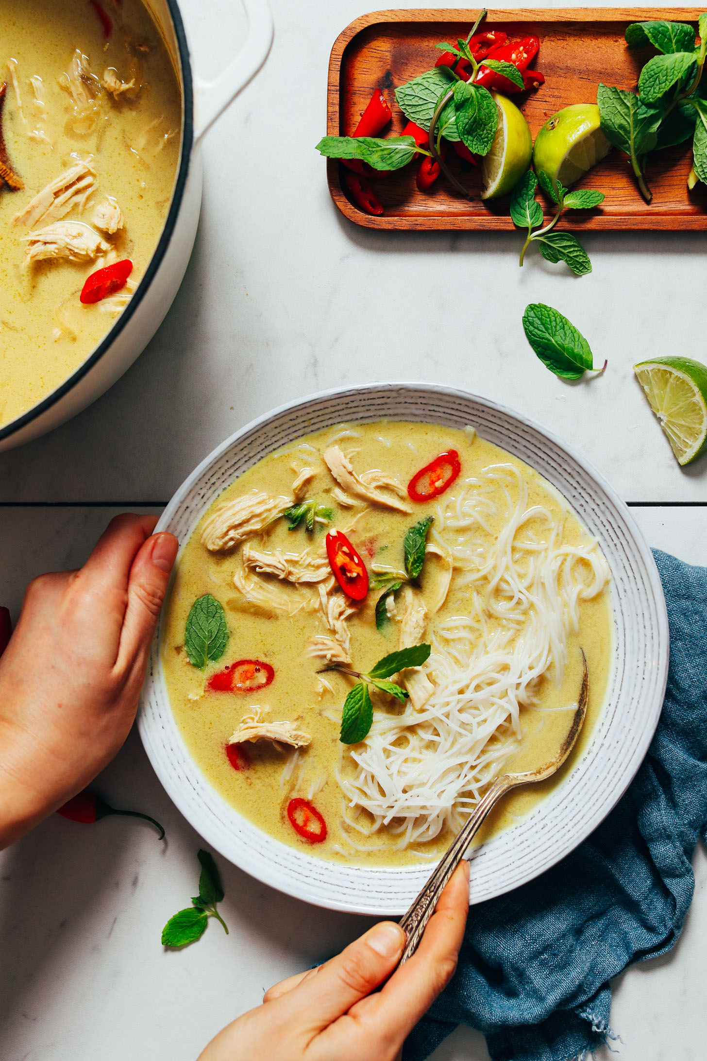 Spoon in a bowl of Thai Chicken Noodle Soup topped with fresh mint and thai chilies